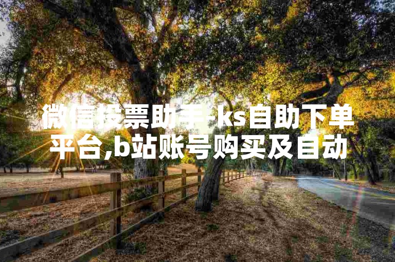 微信投票助手-ks自助下单平台,b站账号购买及自动发卡服务。