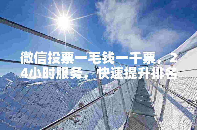 微信投票一毛钱一千票，24小时服务，快速提升排名。