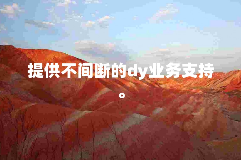 提供不间断的dy业务支持。