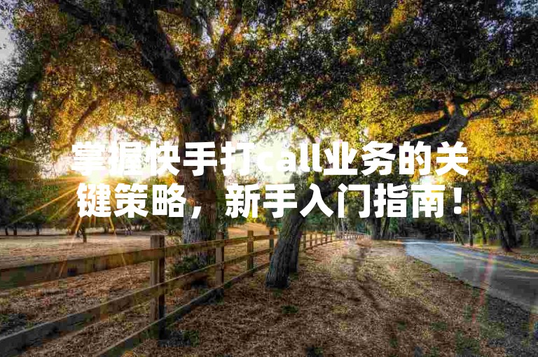 掌握快手打call业务的关键策略，新手入门指南！