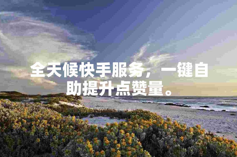 全天候快手服务，一键自助提升点赞量。