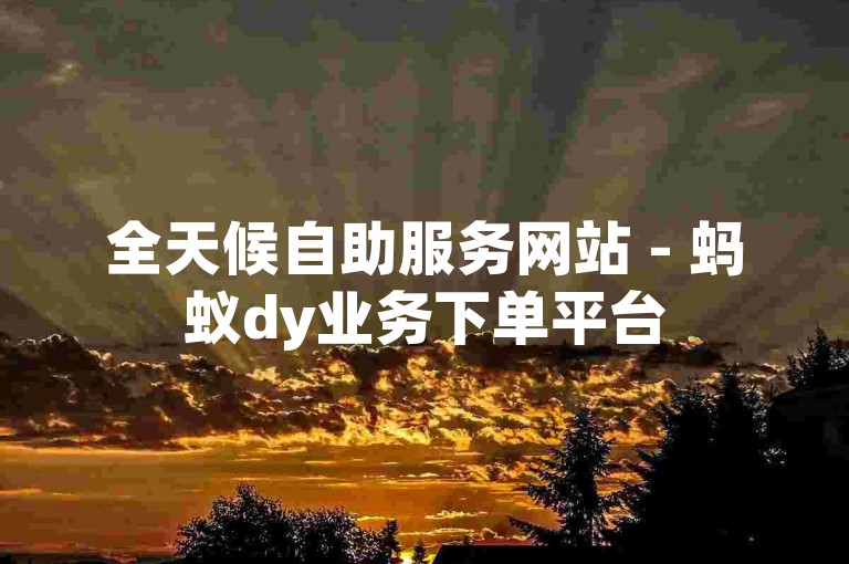 全天候自助服务网站 - 蚂蚁dy业务下单平台