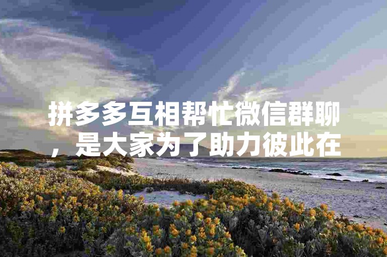 拼多多互相帮忙微信群聊，是大家为了助力彼此在拼多多平台上获得更多优惠而组建的交流群。