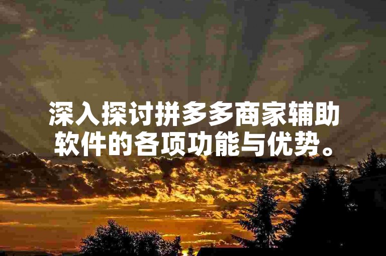 深入探讨拼多多商家辅助软件的各项功能与优势。