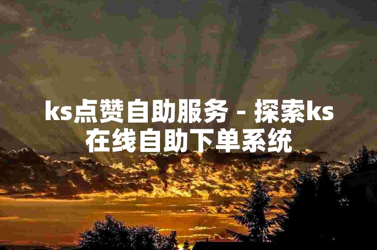 ks点赞自助服务 - 探索ks在线自助下单系统