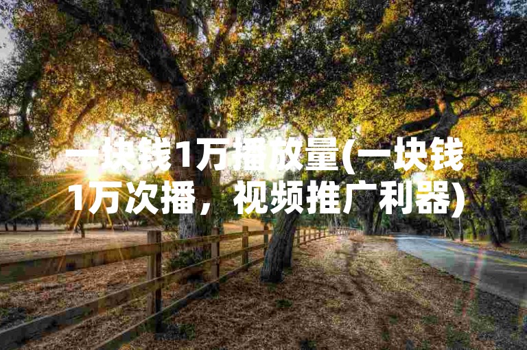 一块钱1万播放量(一块钱1万次播，视频推广利器)