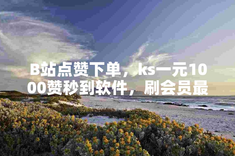 B站点赞下单，ks一元1000赞秒到软件，刷会员最稳定的卡盟。