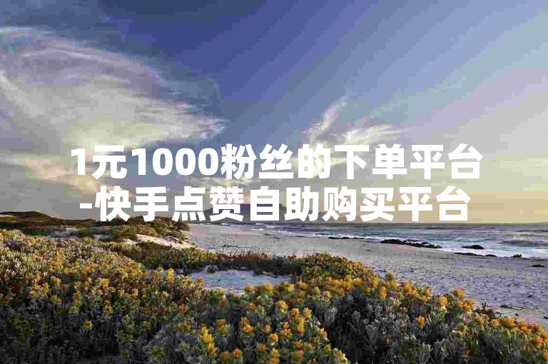 1元1000粉丝的下单平台-快手点赞自助购买平台