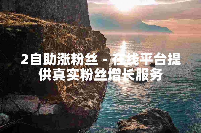 2自助涨粉丝 - 在线平台提供真实粉丝增长服务