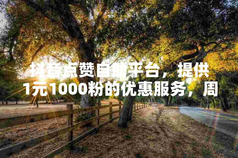 抖音点赞自助平台，提供1元1000粉的优惠服务，周六特惠代刷活动进行中。