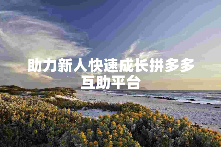 助力新人快速成长拼多多互助平台
