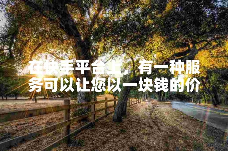 在快手平台上，有一种服务可以让您以一块钱的价格获得100个关注者。