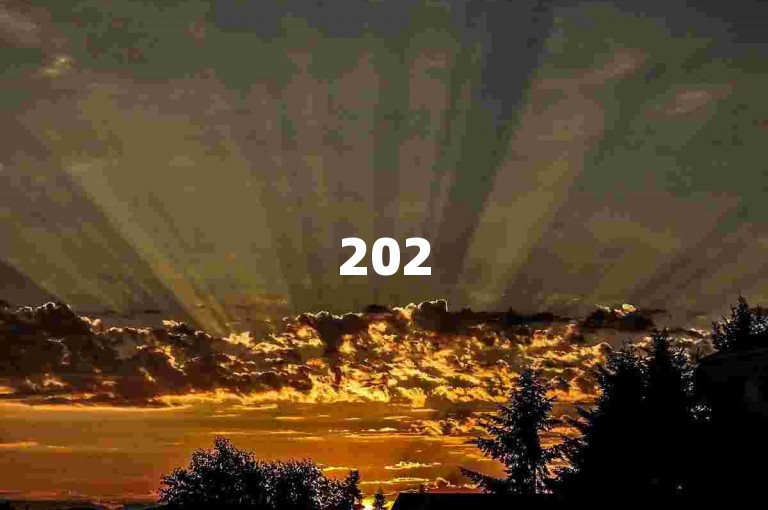 2025年拼多多助力活动，新人的助力支持从哪里可以获得？