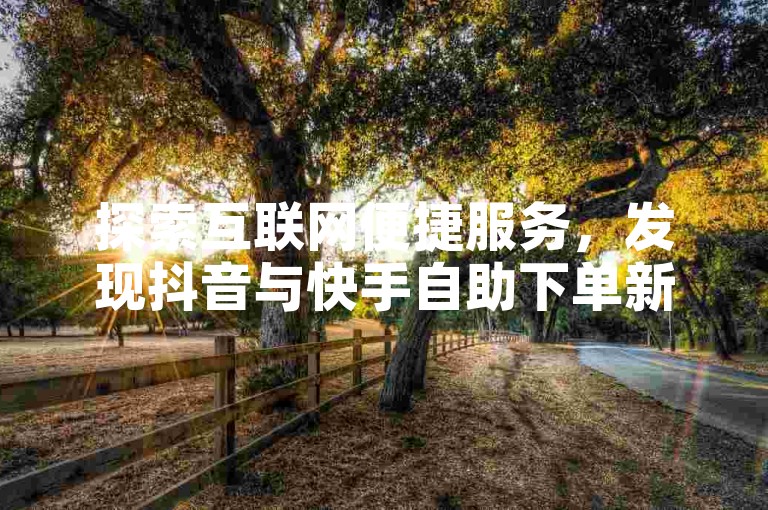 探索互联网便捷服务，发现抖音与快手自助下单新天地，轻松享受低价高效推广。