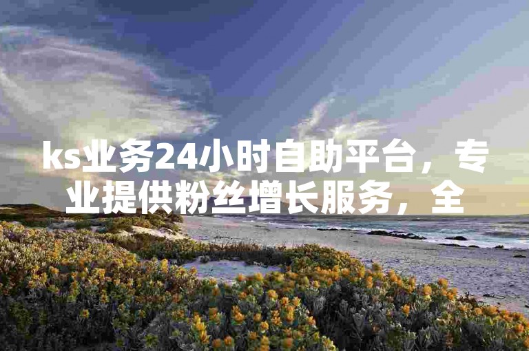 ks业务24小时自助平台，专业提供粉丝增长服务，全网价格最优。
