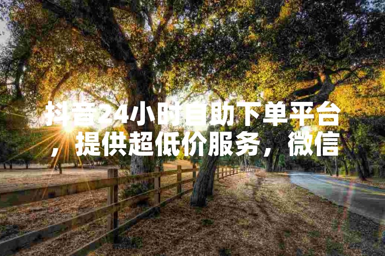 抖音24小时自助下单平台，提供超低价服务，微信即可便捷下单。
