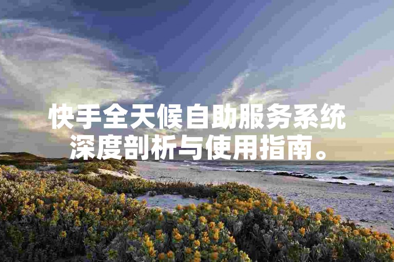 快手全天候自助服务系统深度剖析与使用指南。