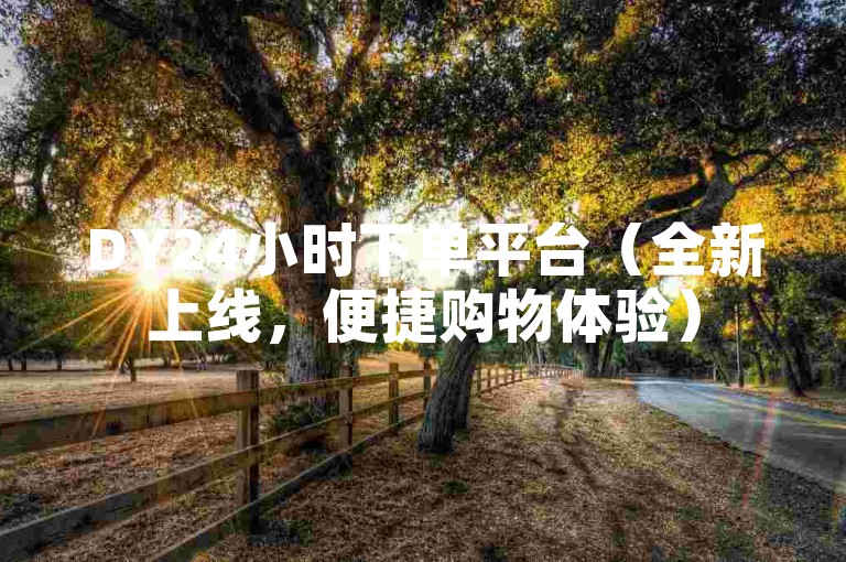 DY24小时下单平台（全新上线，便捷购物体验）