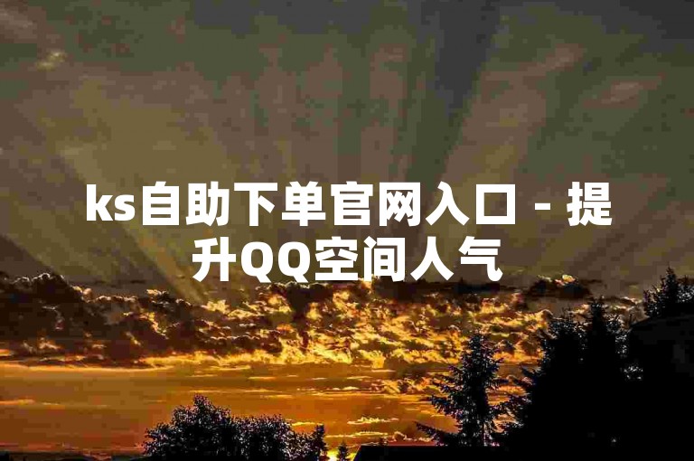 ks自助下单官网入口 - 提升QQ空间人气