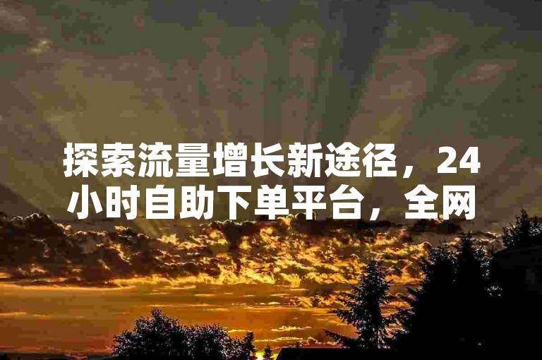 探索流量增长新途径，24小时自助下单平台，全网最低价助力抖粉飙升。