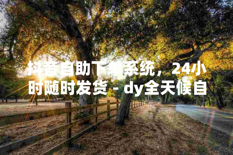 抖音自助下单系统，24小时随时发货 - dy全天候自助下单平台。