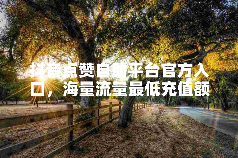 抖音点赞自助平台官方入口，海量流量最低充值额度 - 微信业务在线秒充 - 虚拟卡密购买网站即时交易。