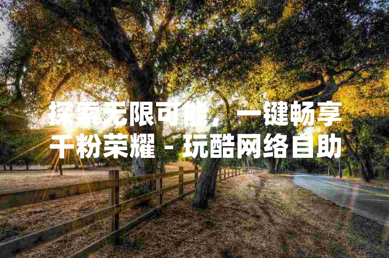 探索无限可能，一键畅享千粉荣耀 - 玩酷网络自助下单dy。