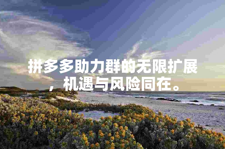 拼多多助力群的无限扩展，机遇与风险同在。