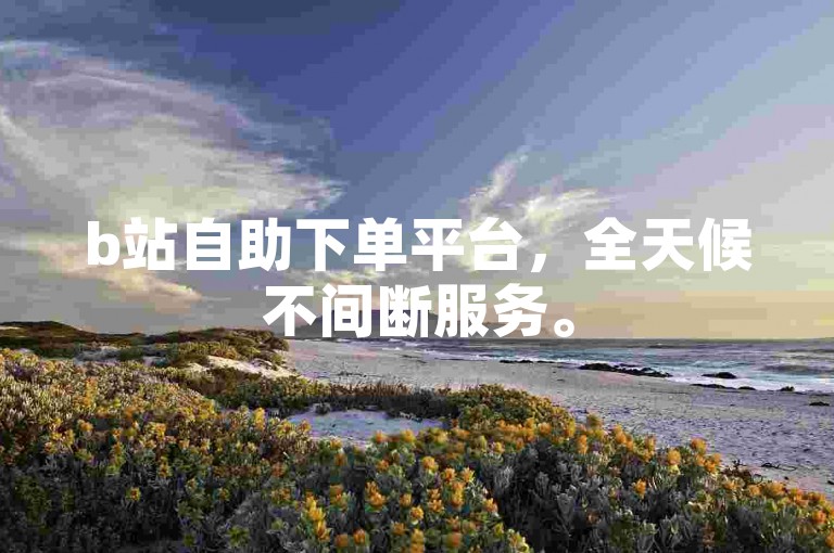 b站自助下单平台，全天候不间断服务。