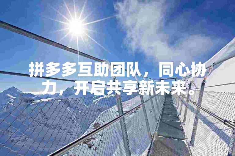 拼多多互助团队，同心协力，开启共享新未来。