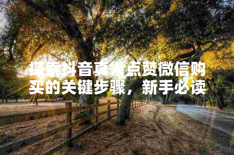 探索抖音真人点赞微信购买的关键步骤，新手必读的微信平台抖音点赞服务购买手册！