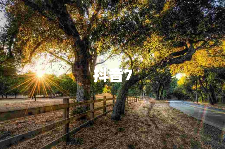 抖音75级标志采用双色设计，彰显独特魅力（深入解析抖音75级标志的两种颜色搭配）。