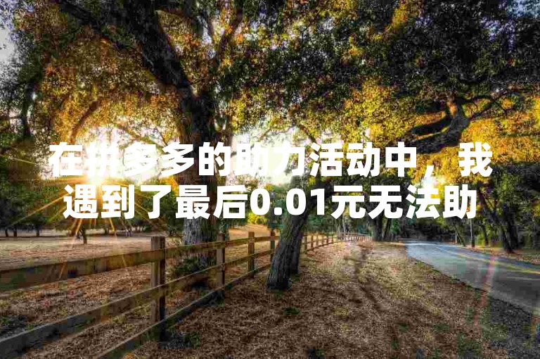 在拼多多的助力活动中，我遇到了最后0.01元无法助力成功的困境。
