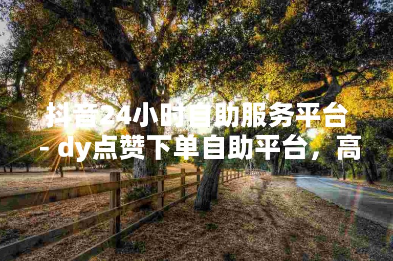 抖音24小时自助服务平台 - dy点赞下单自助平台，高效便捷。