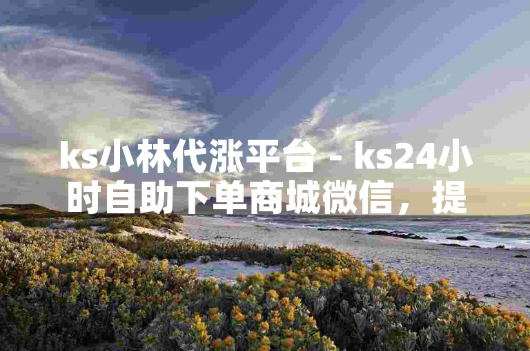 ks小林代涨平台 - ks24小时自助下单商城微信，提供便捷的在线服务体验。