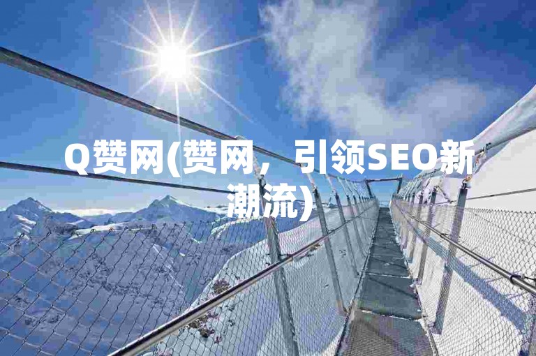 Q赞网(赞网，引领SEO新潮流)
