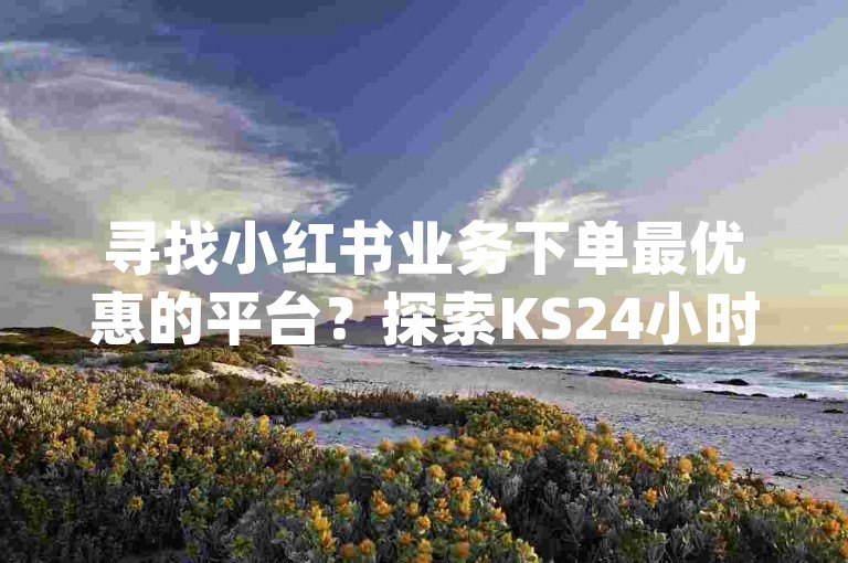 寻找小红书业务下单最优惠的平台？探索KS24小时免费下单官网，体验dy24小时自助平台的便捷下单流程。