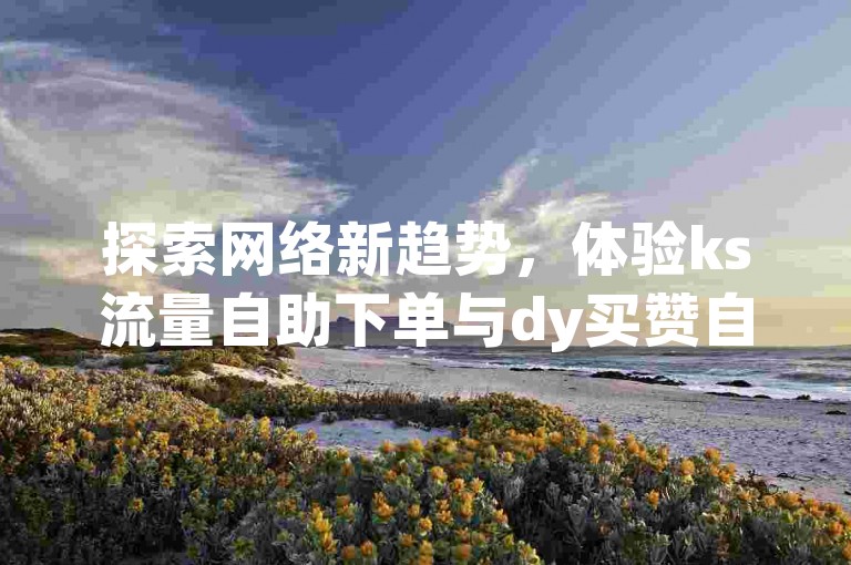 探索网络新趋势，体验ks流量自助下单与dy买赞自助下单平台的便捷服务。