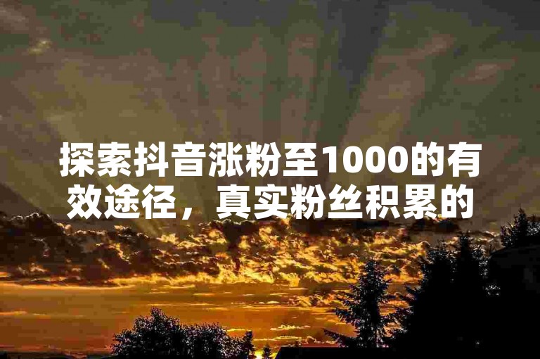 探索抖音涨粉至1000的有效途径，真实粉丝积累的独家方法与经验全解析。