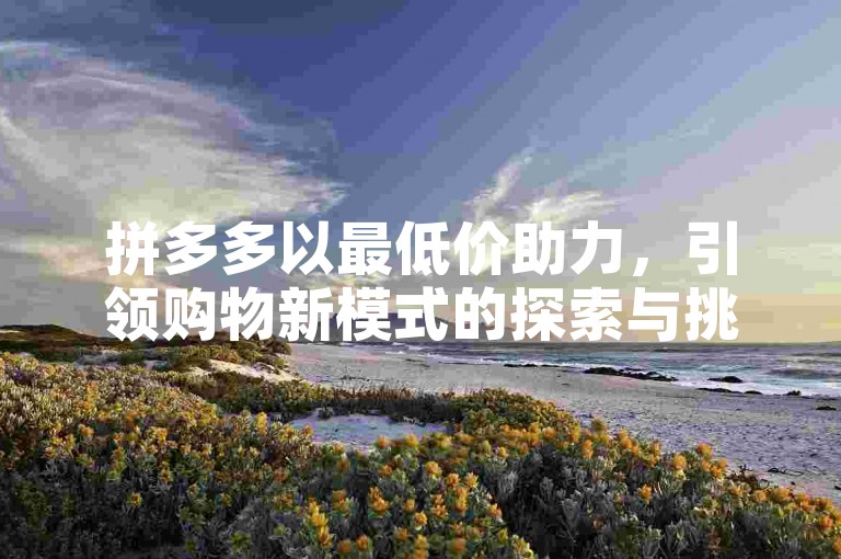 拼多多以最低价助力，引领购物新模式的探索与挑战。