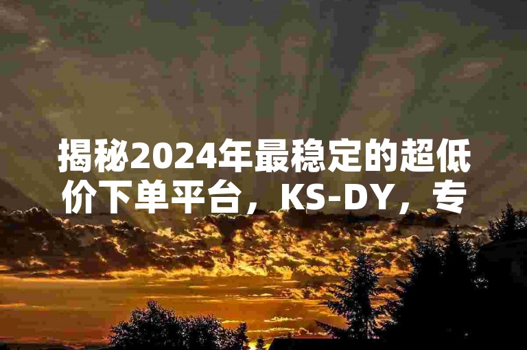 揭秘2024年最稳定的超低价下单平台，KS-DY，专业服务等你来体验！