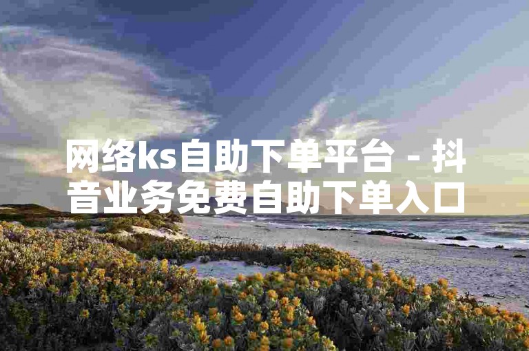 网络ks自助下单平台 - 抖音业务免费自助下单入口