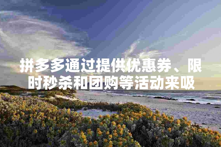 拼多多通过提供优惠券、限时秒杀和团购等活动来吸引用户助力，从而增加销量。