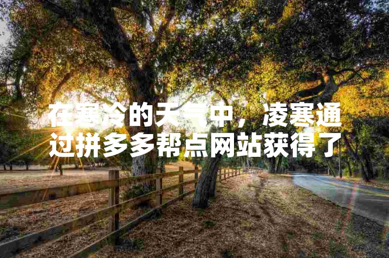 在寒冷的天气中，凌寒通过拼多多帮点网站获得了许多帮助。