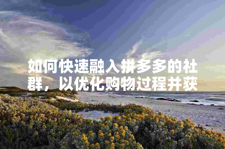 如何快速融入拼多多的社群，以优化购物过程并获取更多折扣？