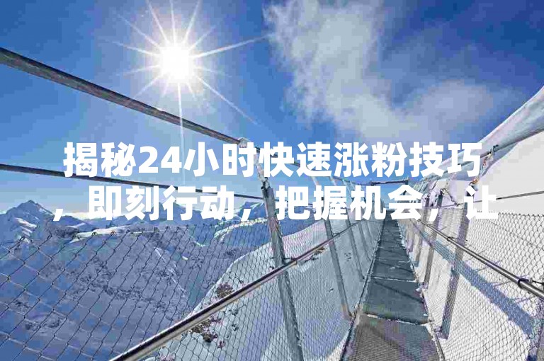 揭秘24小时快速涨粉技巧，即刻行动，把握机会，让您的关注度飙升！2025年必备策略。