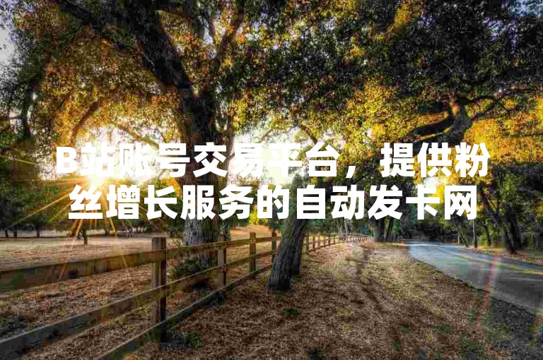B站账号交易平台，提供粉丝增长服务的自动发卡网站。