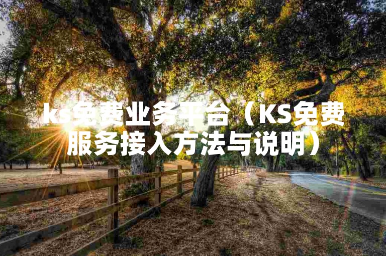 ks免费业务平台（KS免费服务接入方法与说明）