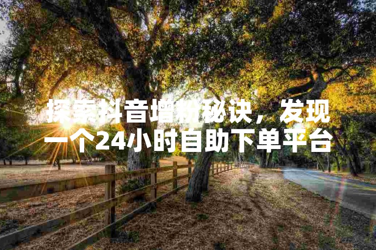 探索抖音增粉秘诀，发现一个24小时自助下单平台，提供全网最低价的1000粉丝服务，快速提升你的KS影响力。