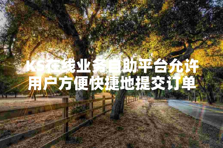 KS在线业务自助平台允许用户方便快捷地提交订单。